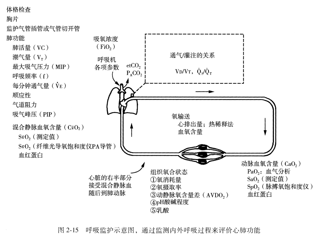 肺功能检测步骤流程图图片