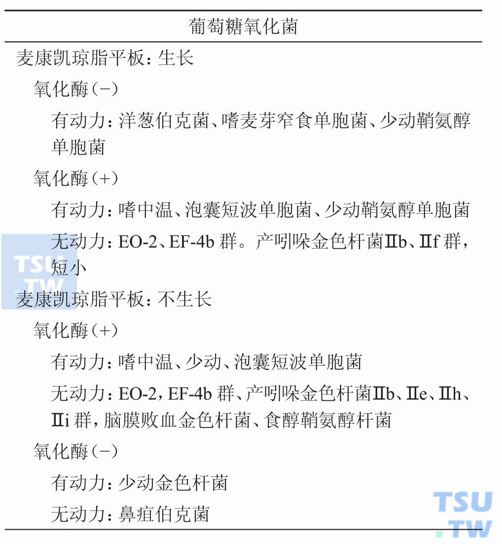 怎样进行非发酵菌初步分群？